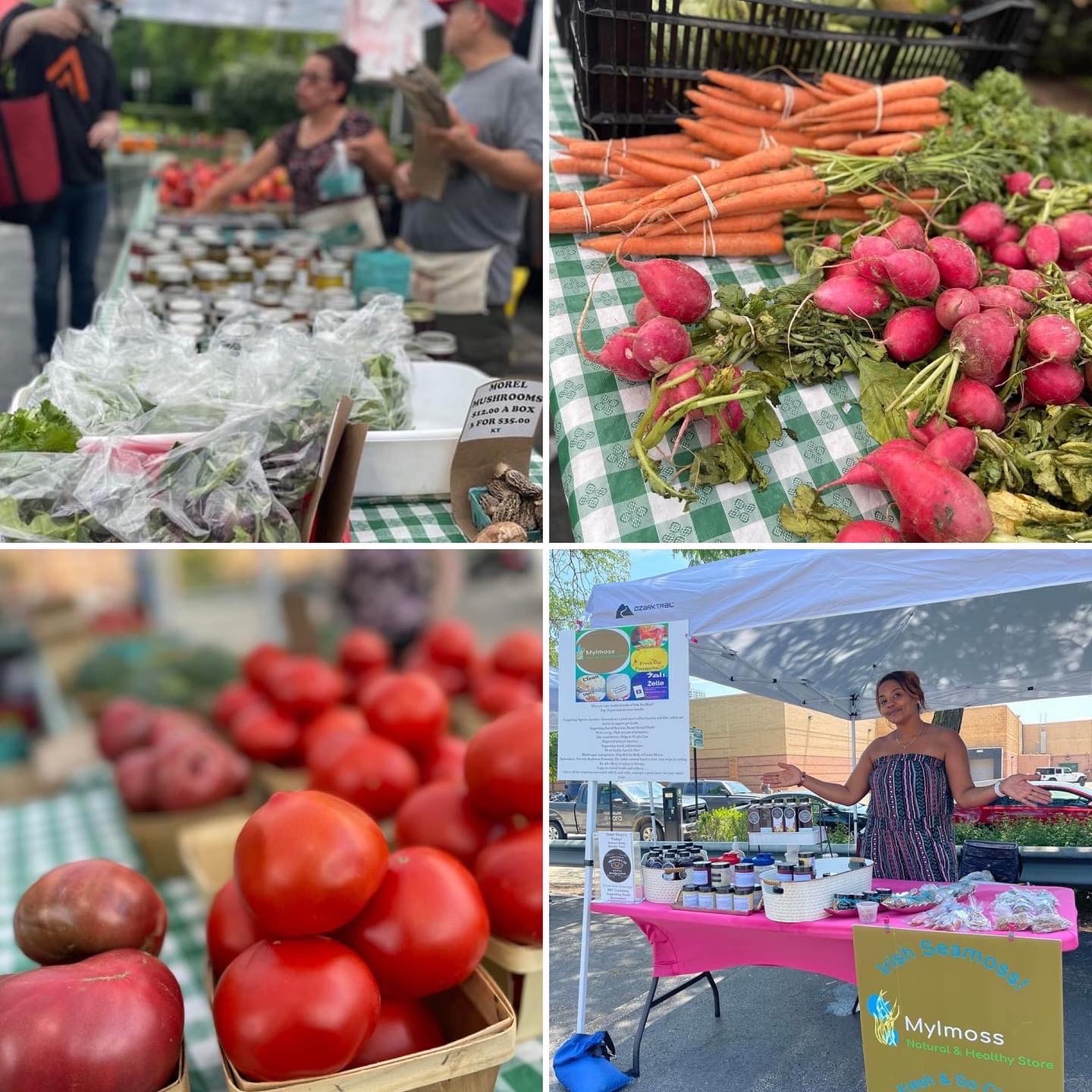 a Vendor at the 2023 Hyde Park Chicago Farmers Market South